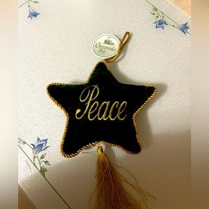 Star ⭐️ ornament